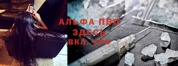 PSILOCYBIN Новозыбков