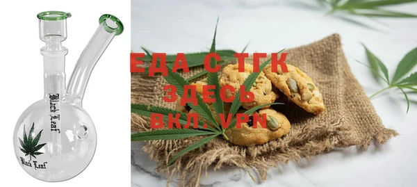шишки Няндома