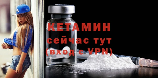шишки Няндома