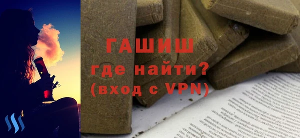 шишки Няндома