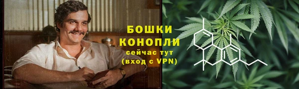 PSILOCYBIN Новозыбков