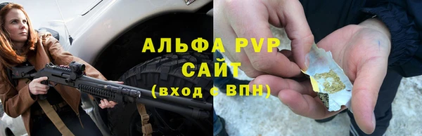 PSILOCYBIN Новозыбков