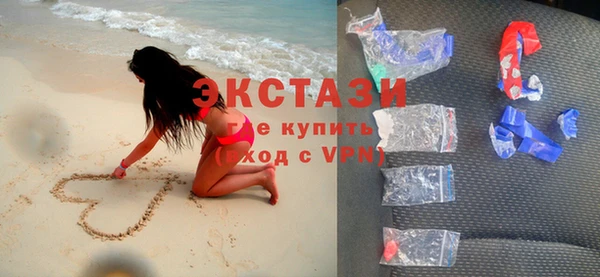 шишки Няндома