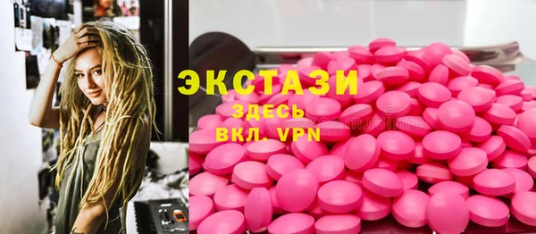 шишки Няндома